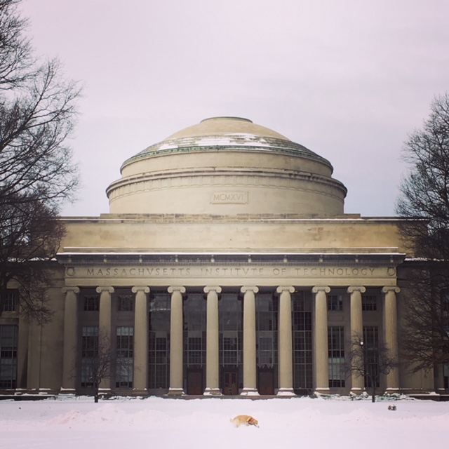 mit